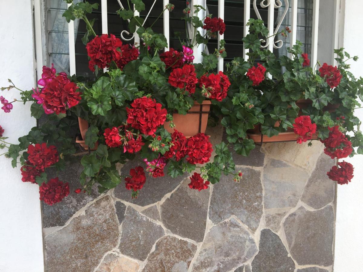 Detached Villa, Private Pool Only 10 Minutes Los Cristianos Valle de San Lorenzo Buitenkant foto